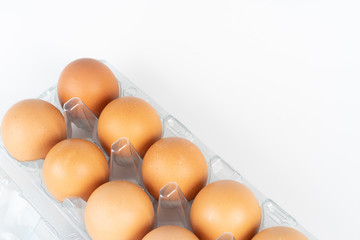 the pack of eggs in plastic packaging.