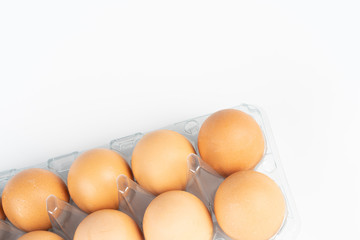 the pack of eggs in plastic packaging.