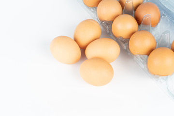 the pack of eggs in plastic packaging.