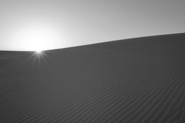 Sandwüste in Australien - Schwarz-weiß