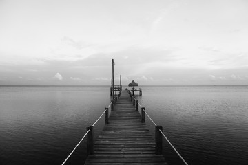 Steg in Florida