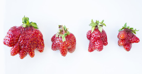 Top view. Set of strawberries isolated on white background. Strawberries of non-standard shape on a on white background. Ripe strawberries close-up.