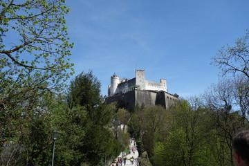 Festungsberg