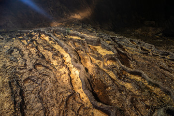 Patterns of stalagmites in natural caves.