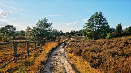 Weg - Landschaft - Lüneburger Heide im Herbst