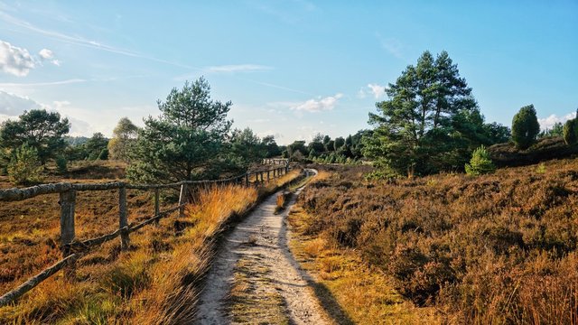 Weg - Landschaft - L&uuml;neburger Heide im Herbst