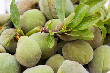 Fresh almonds with leaves seen from very close