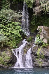cascade au milieu de la verdure &agrave; la reunion 
