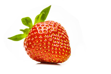 Erdbeere