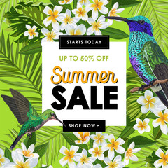 Summer Sale Banner with Tropical Plumeria Flowers, Palm Leaves and Humming Birds. Floral Template for Promo, Discount Flyer, Voucher, Advertising. Vector illustration