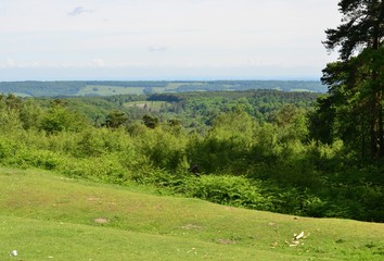 Fototapeta na wymiar Looking down at the Sussex countryside from Leith hill in Surrey. 