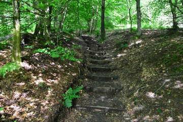 Steep hill with steps in the English countryside.