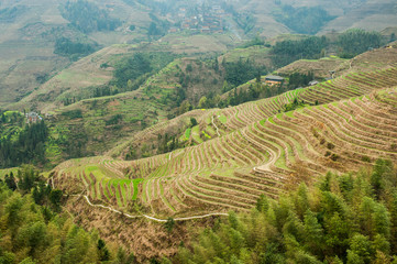 Fototapeta na wymiar View of rice terraces of Guilin in China