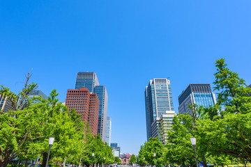 Fototapeta premium 初夏の高層ビル群 High-rise building in Tokyo
