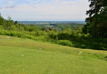 Looking down at the Sussex countryside from Leith hill in Surrey.

