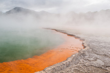 The hot vapors at Rotorua in New Zealand