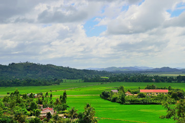 rice fields, in the background of buildings, tropical vegetation, mountains, blue sky covered with clouds, Daklak Province, Vietnam