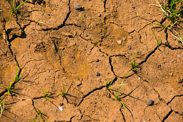 texture of dry soil