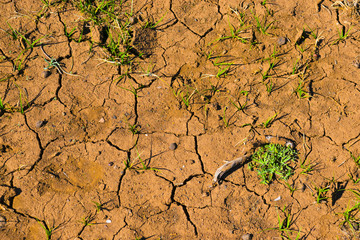 texture of dry soil
