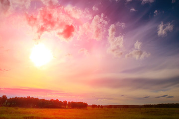 Field and forest illuminated by sun at sunset.