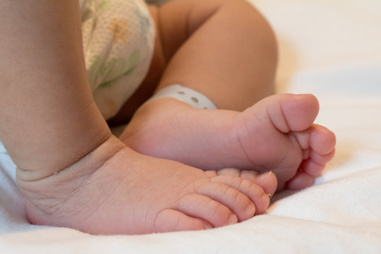 신생아의 작은 발