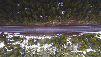 Aerial Forest Road 