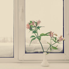 Frosty winter window view and vase with flowers on windowsill, image with warm vintage toning