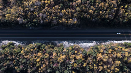 Aerial Forest Road in Autumn 