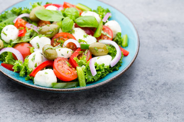 Vegetable salad with cheese mozzarella, tomatoes, basilikum and spice.