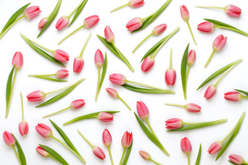 Pink tulip pattern on the white bacjkground.