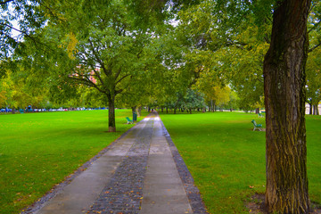 Way between trees through a park with green and coloured grass
