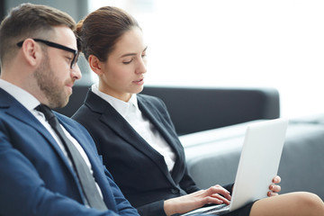 Fototapeta premium Young businesswoman and her colleague looking through online financial data or statistics