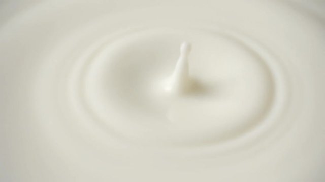 milk dropping and splashing in slow motion