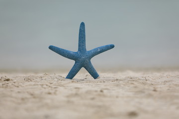 Fototapeta na wymiar Summer background - blue starfish on beach sand