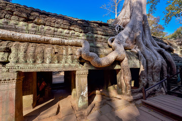 Fototapeta na wymiar The art and beauty of Ta Prohm Temple, Angkor,landmark of siem reap Cambodia.
