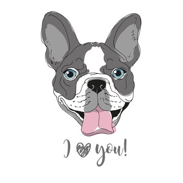 Happy dog portrait vector illustration.Print for t shirts, cards