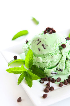 Single Scoop Of Mint Chocolate Chip Ice Cream On A Plate With Chips And Sprig Of Mint