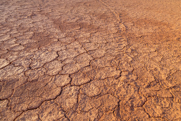 Cracked dry red soil in Eastern Kazakhstan