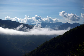 mountain range tropical rainforest canopy with more cloud
