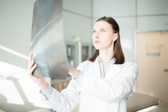 Young female in whitecoat looking at x-ray image and analyzing its details