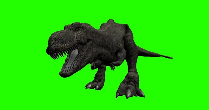 trex 4k