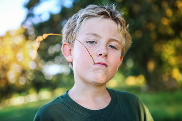 Young boy in the country with a stalk of grass in his mouth