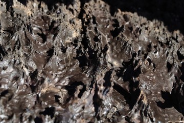 Galapagos Islands Landscape