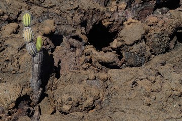 Galapagos Islands Landscape