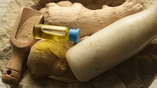 Zingiber officinale Gengiovo Ginger Zenzero Jengibre Ingwer video زنجبيل 생강 Կոճապղպեղ 