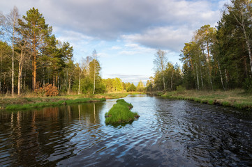 летний пейзаж с рекой и лесом, Россия, Урал, июнь © 7ynp100
