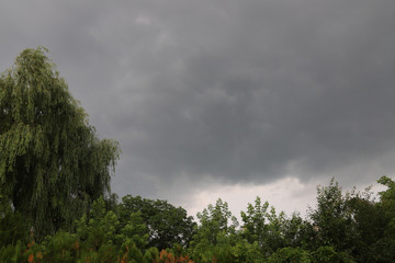 Burza nad wierzbą płaczącą © Wlodek