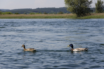 Familienleben im Bodensee