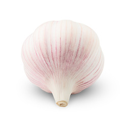 garlic, isolated on white background, clipping path, full depth of field