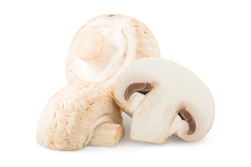 Fototapeta na wymiar mushroom, champignon, isolated on white background, clipping path, full depth of field